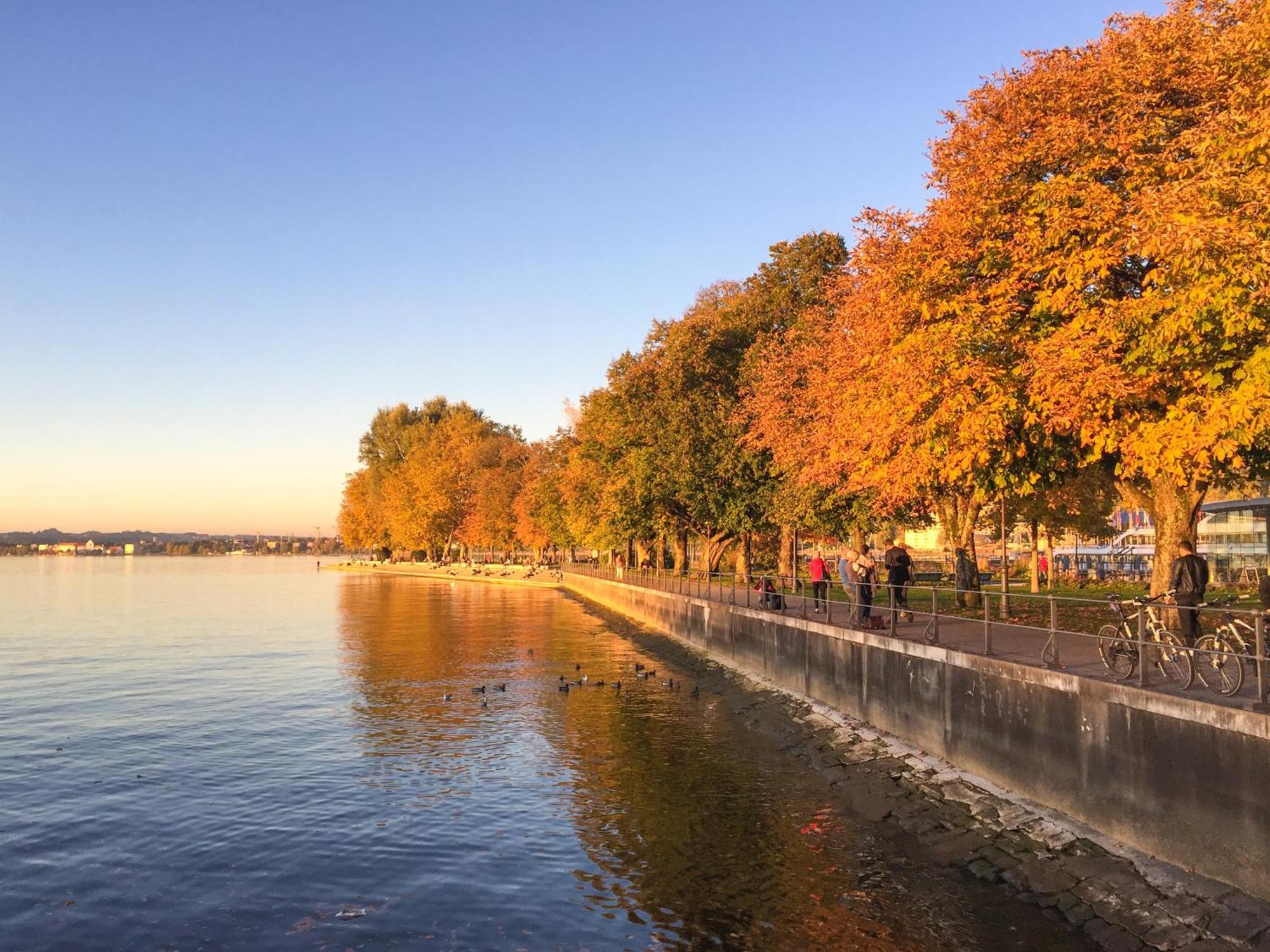 Seeblick Bregenz - Mit Parkgarage Luaran gambar